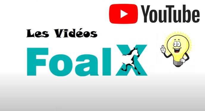 vidéo pour comprendre le calcul de l'Indice FoalX
